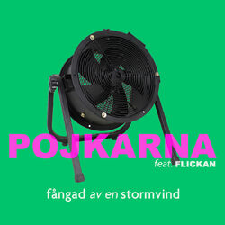 Cover of Fångad Av En Stormvind