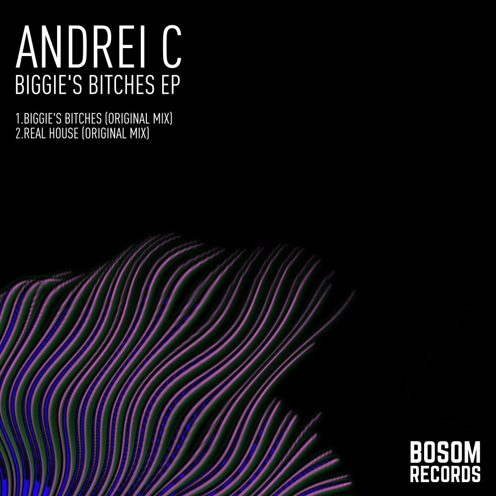 Picture of Biggie's Bitches EP