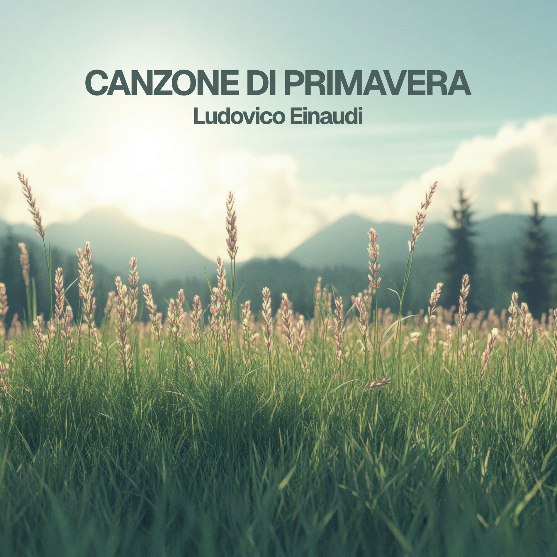 Album cover of Einaudi: Una mattina
