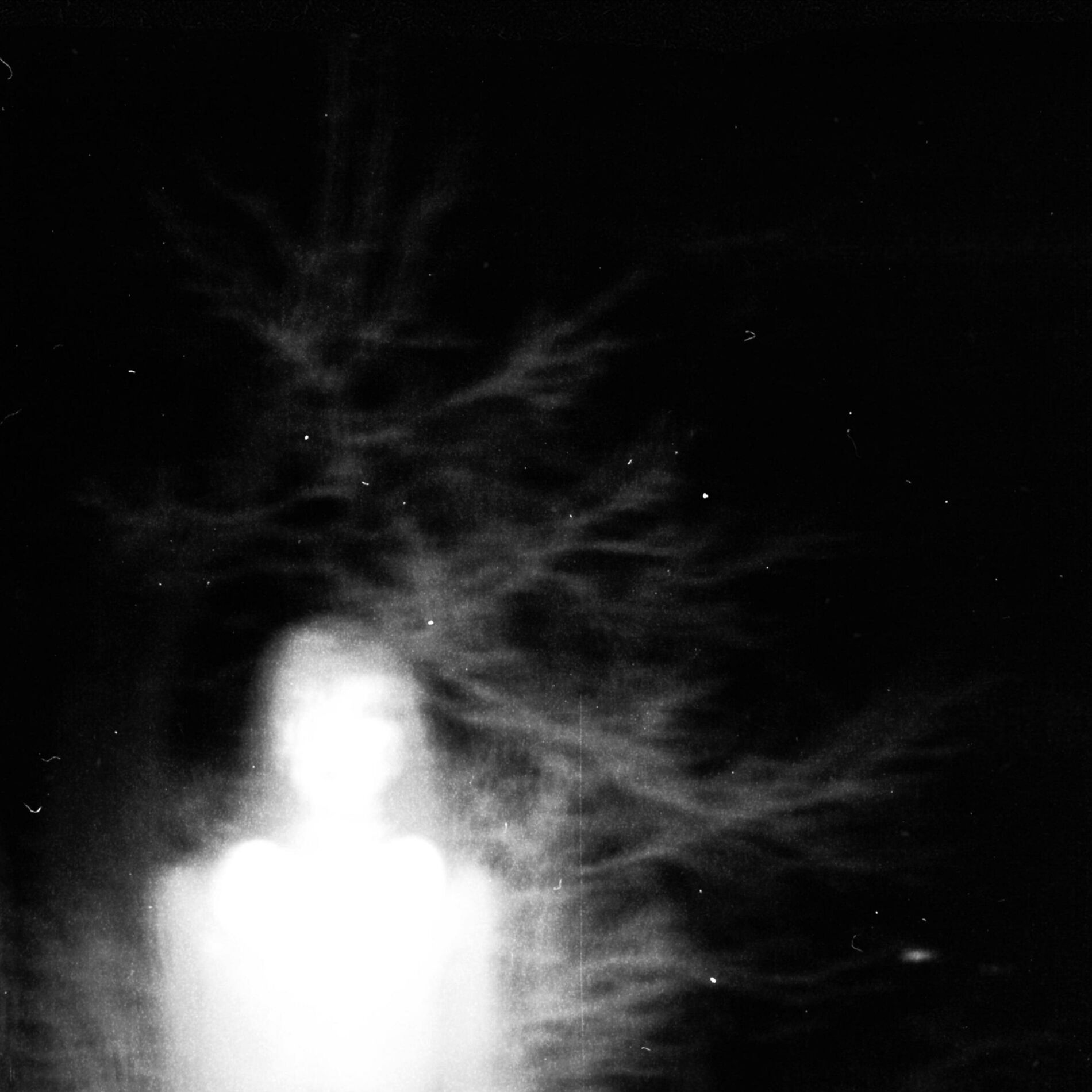 Album cover of The Witch