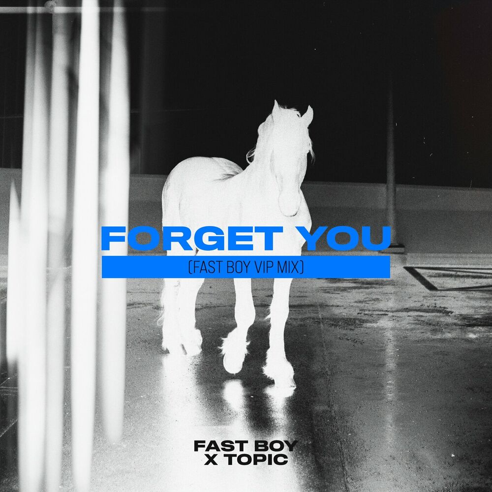 Picture of Forget You (FAST BOY VIP Mix)