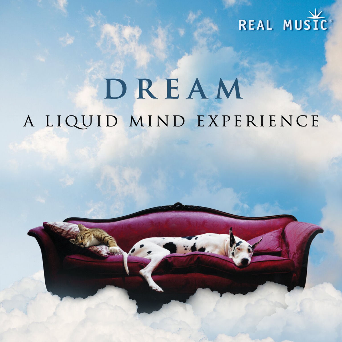 Album cover of DREAM: A Liquid Mind Experience