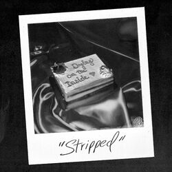 Cover of dying on the inside (stripped)