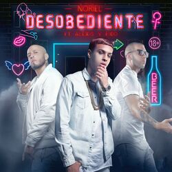 Cover of Desobediente