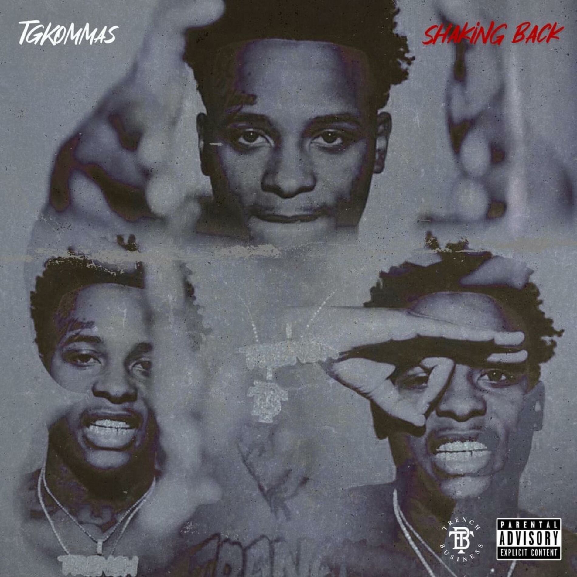 Album cover of Shaking Back