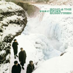Cover of Porcupine (Expanded; 2004 Remaster)