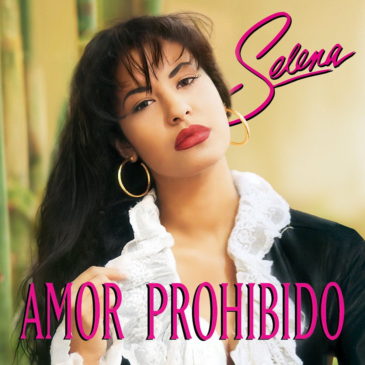 Album cover of Fotos Y Recuerdos