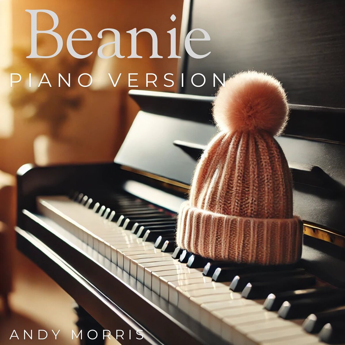 Album cover of Beanie (Piano Version)
