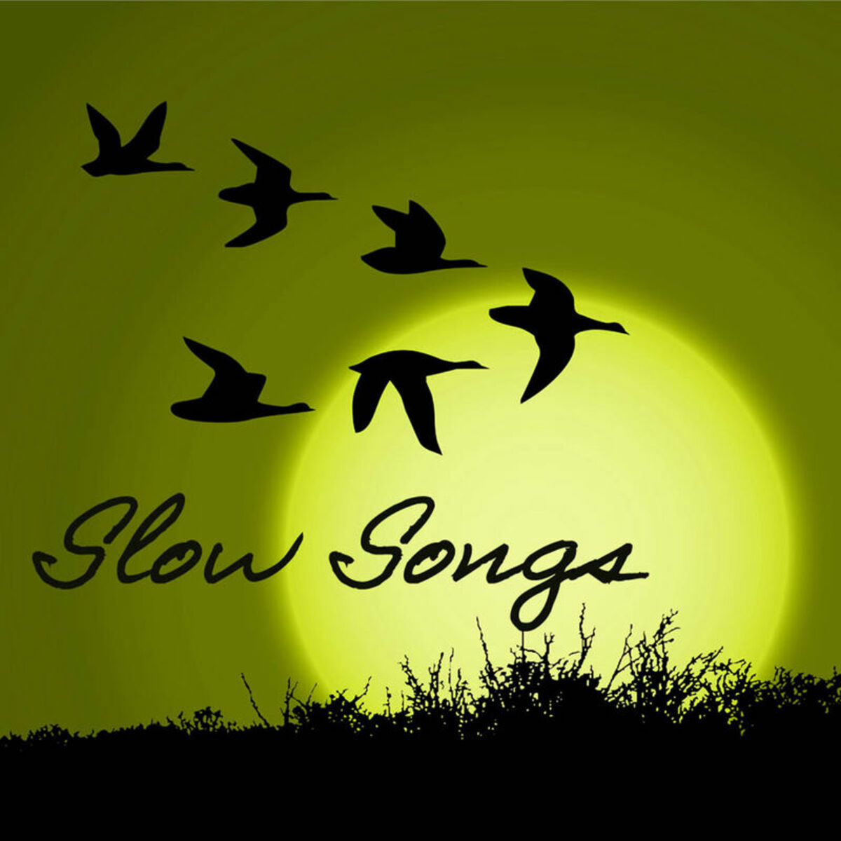 Slow Songs Relax: albums, songs, playlists | Listen on Deezer