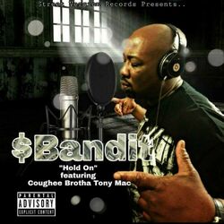 Cover of Hold On