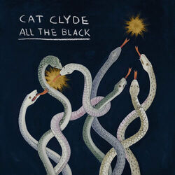Cover of All the Black