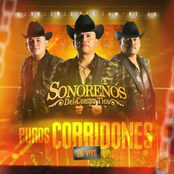 Cover of Puros Corridones