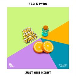 Cover of Just One Night