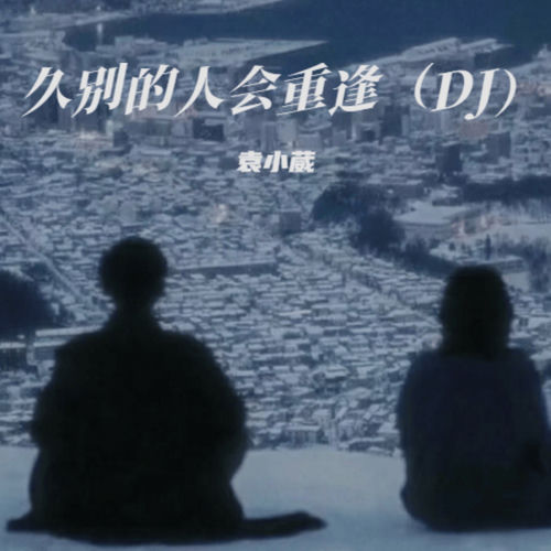 久别的人会重逢 (DJ版)