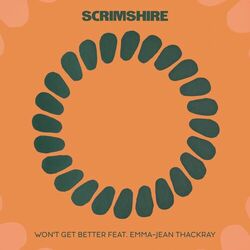 Cover of Won't Get Better