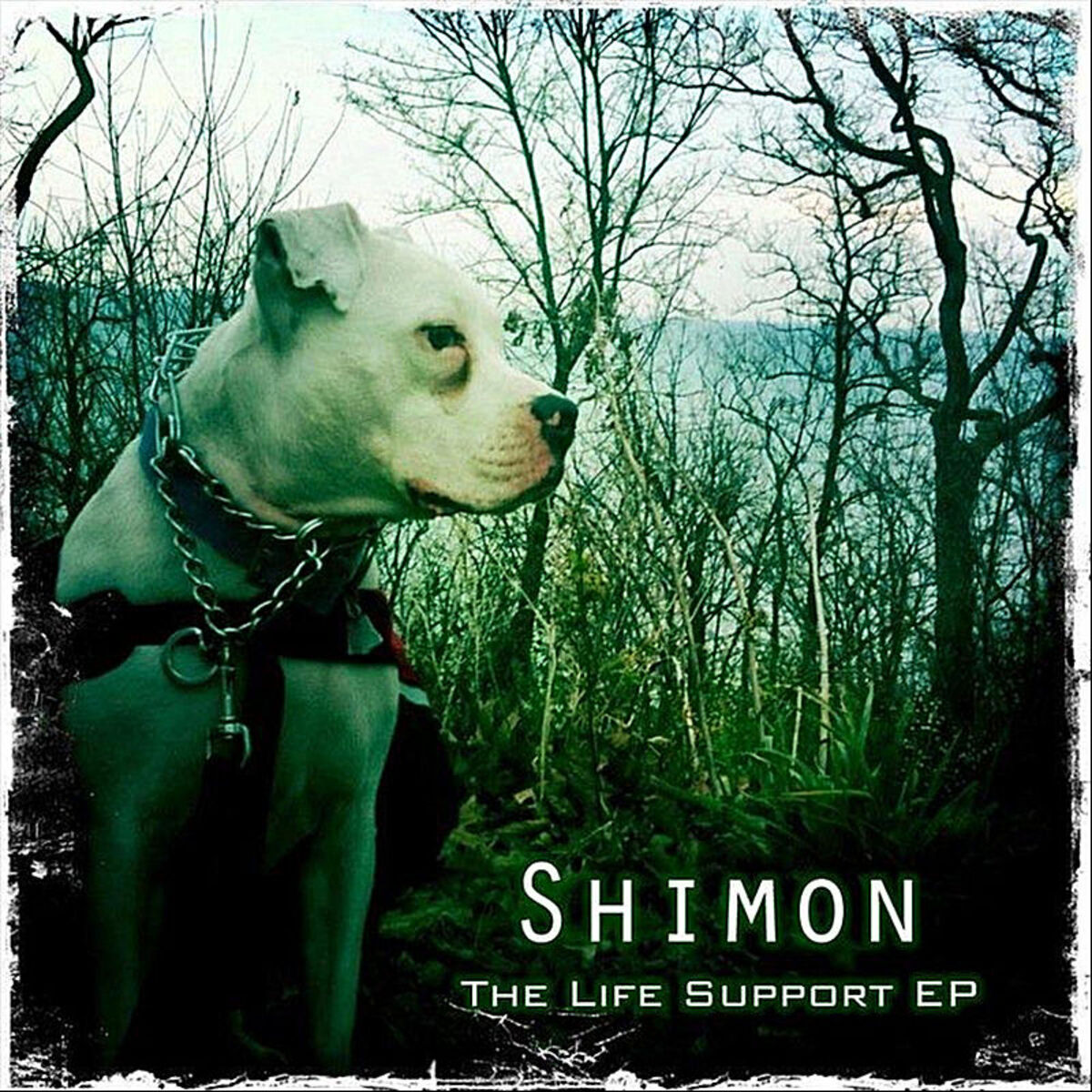 Album cover of The Life Support EP