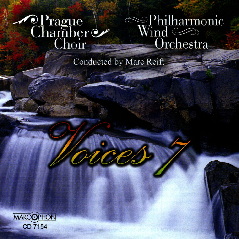 Picture of Voices 7