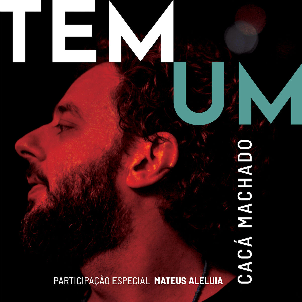 Album cover of Tem Um
