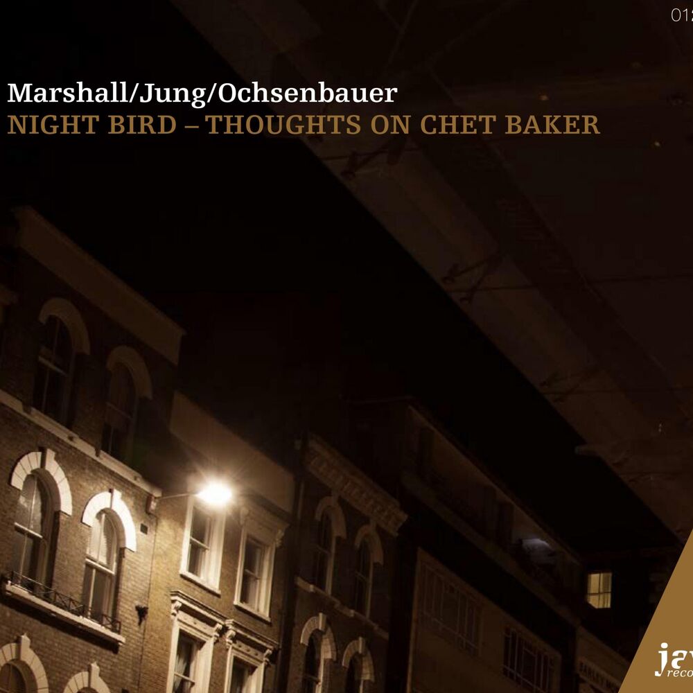 Picture of Night Bird - Thoughts on Chet Baker