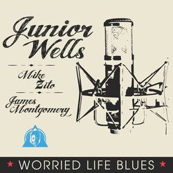 Cover of Worried Life Blues