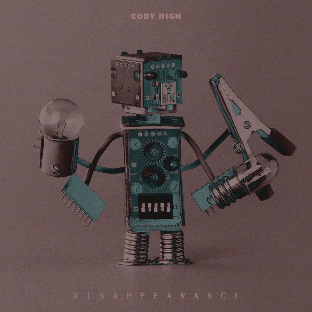 Picture of Disappearance