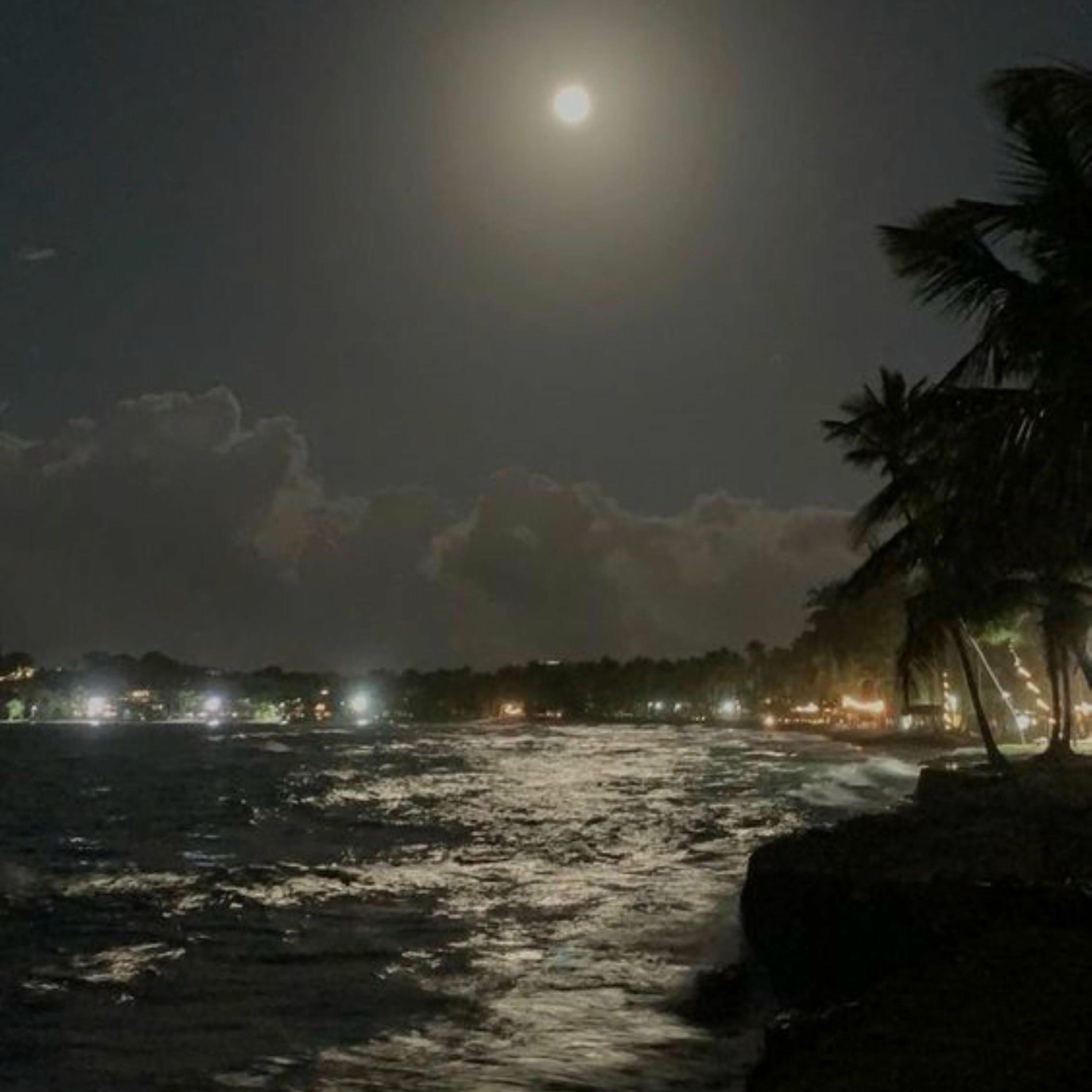 Album cover of 2006 (Deluxe Edition)