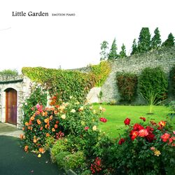 Cover of Little Garden