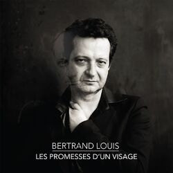 Cover of Les promesses d'un visage