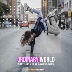 Cover of Ordinary World