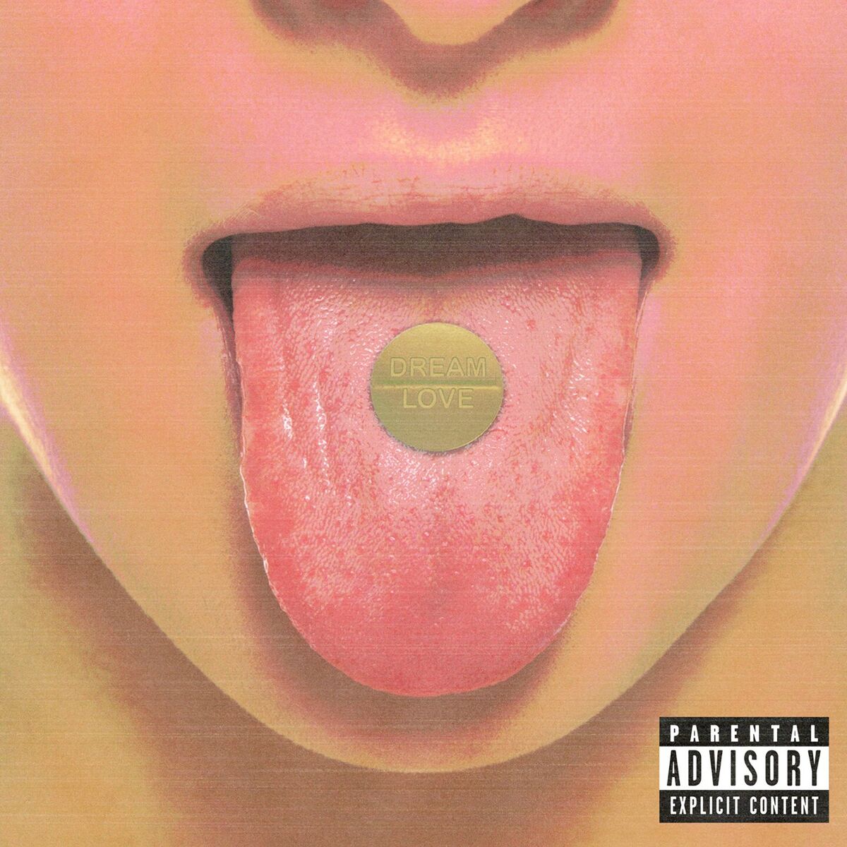 Album cover of Dream & Love
