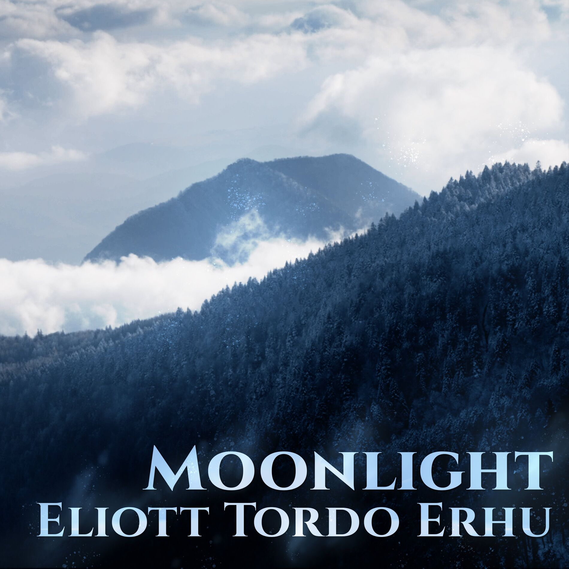 Album cover of Moonlight