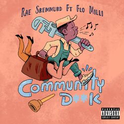 Cover of Community D**k