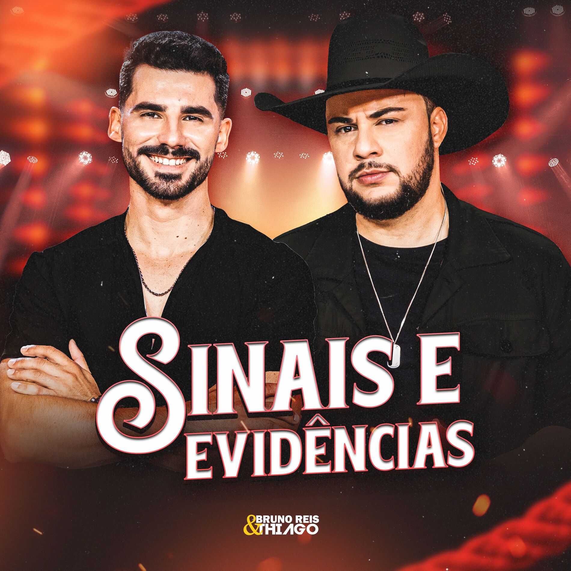Album cover of Sinais e Evidências