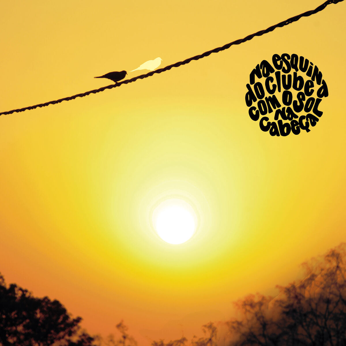 Album cover of Na Esquina do Clube com o Sol na Cabeça