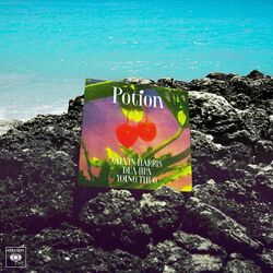 Cover of Potion