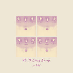 Cover of Am I Giving Enough