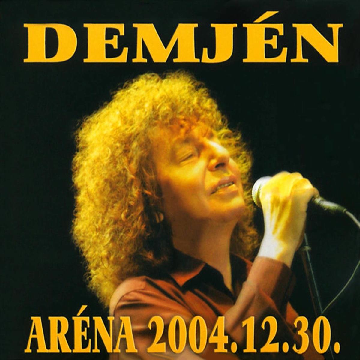 Album cover of ARÉNA 2004.12.30. (Live)