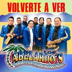 Cover of Volverte a Ver