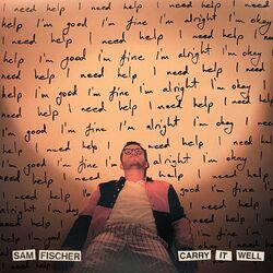 Cover of Carry It Well