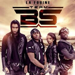 Cover of Team BS