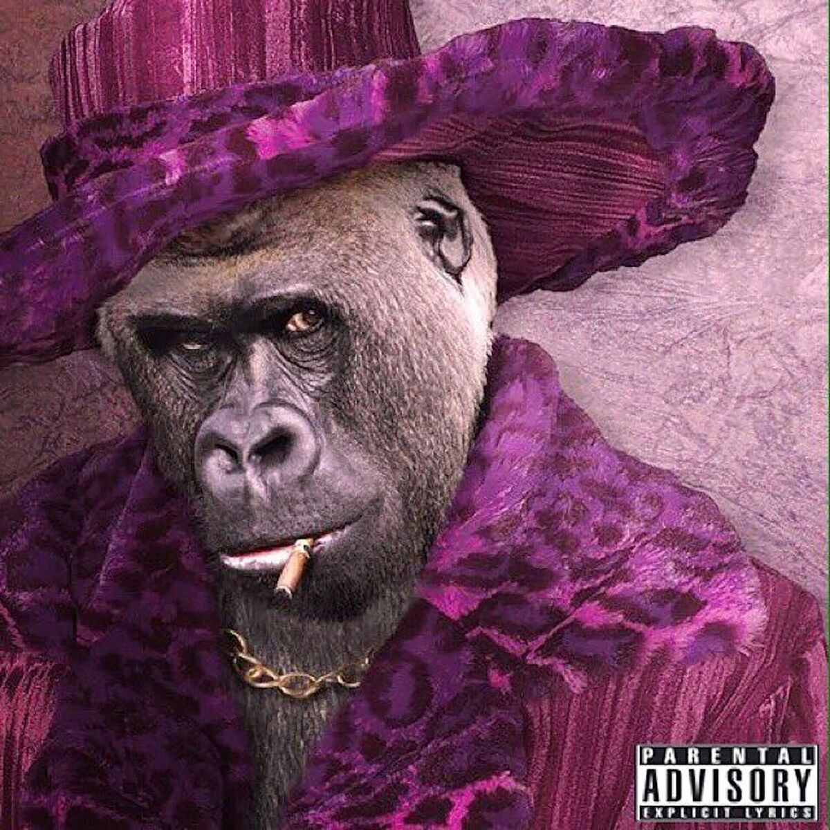 Album cover of Gorilla Pimpin
