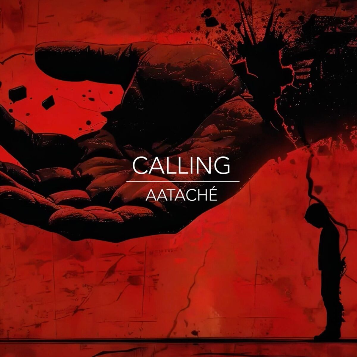 Album cover of Calling