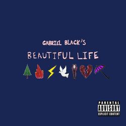Cover of beautiful life
