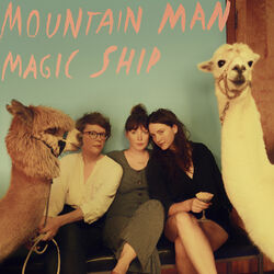 Cover of Magic Ship
