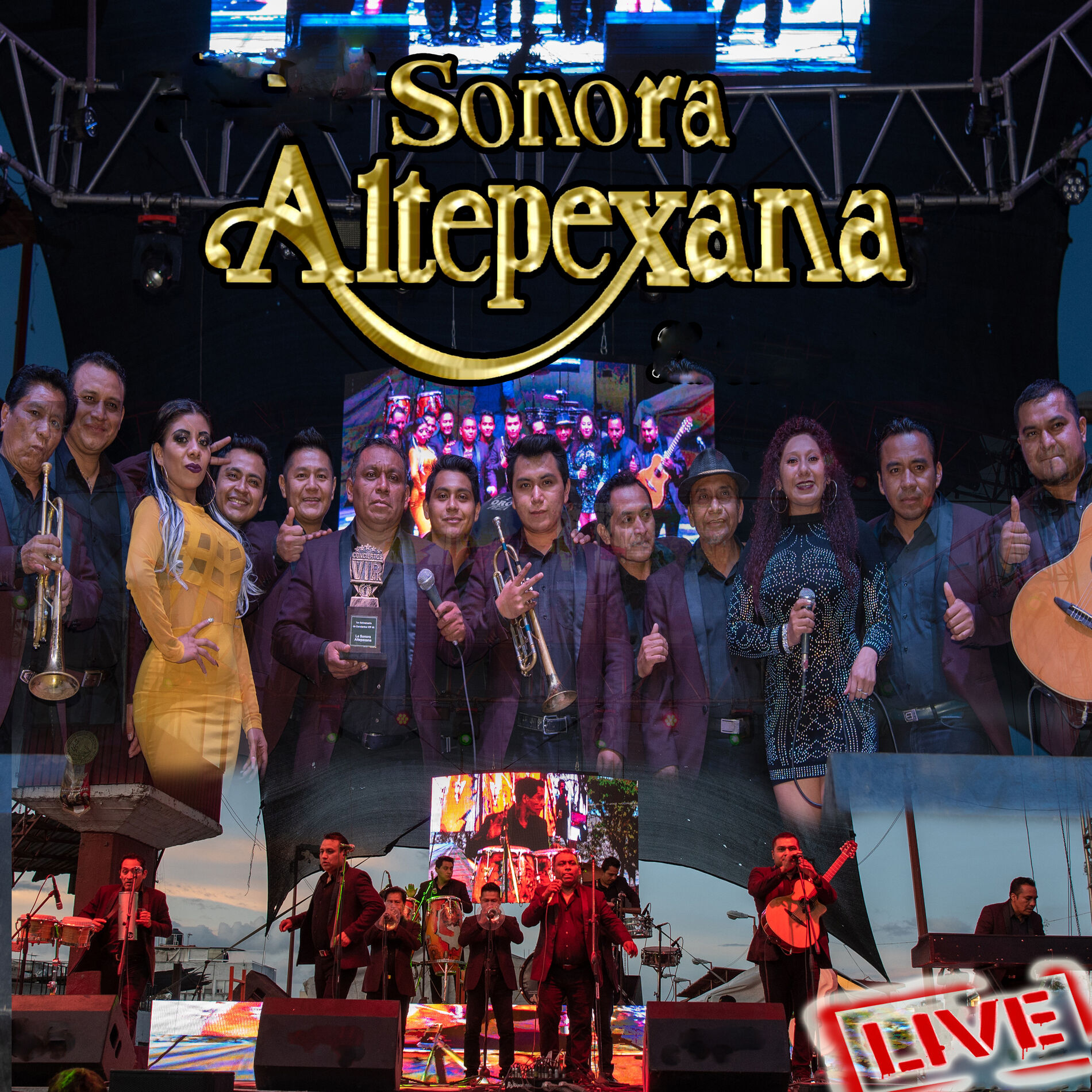 Album cover of Live