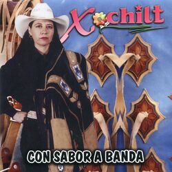 Cover of Con Sabor A Banda