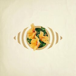 music cover