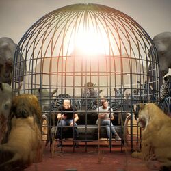 Cover of Inside This Zoo