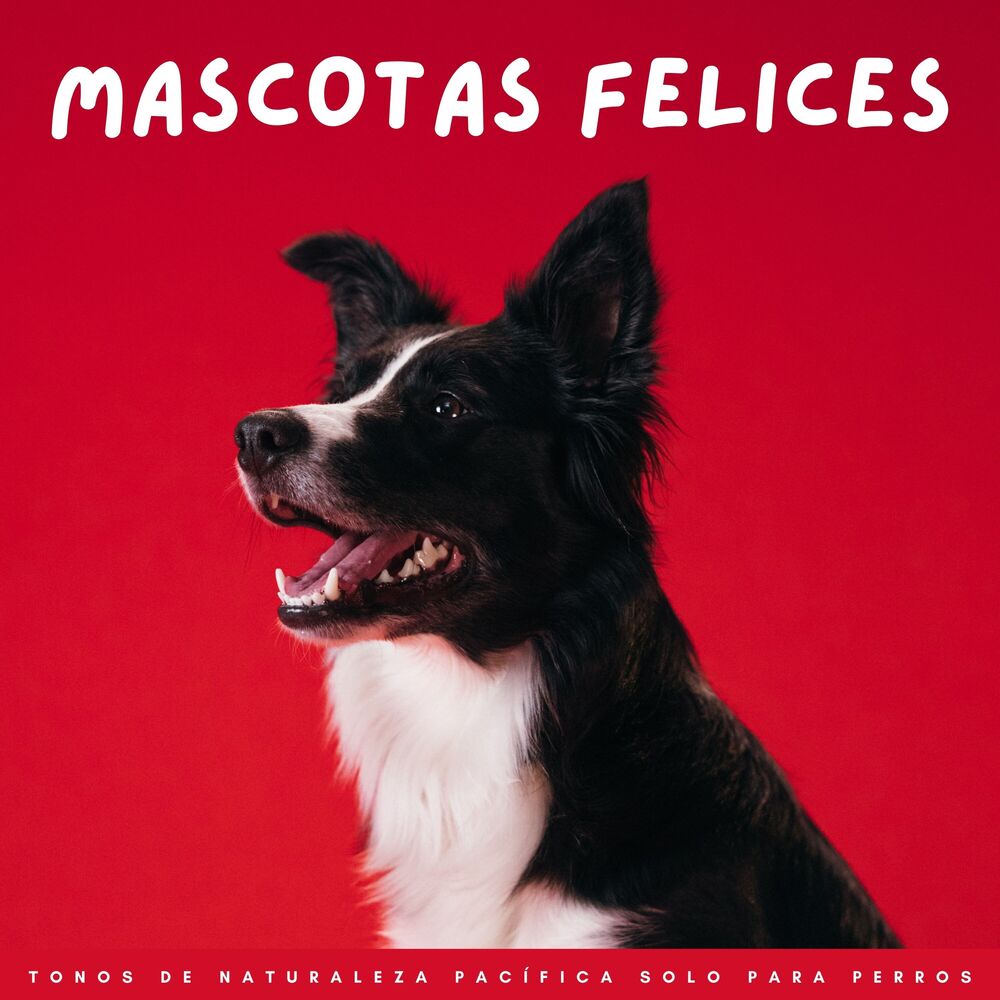 Picture of Mascotas Felices: Tonos De Naturaleza Pacífica Solo Para Perros