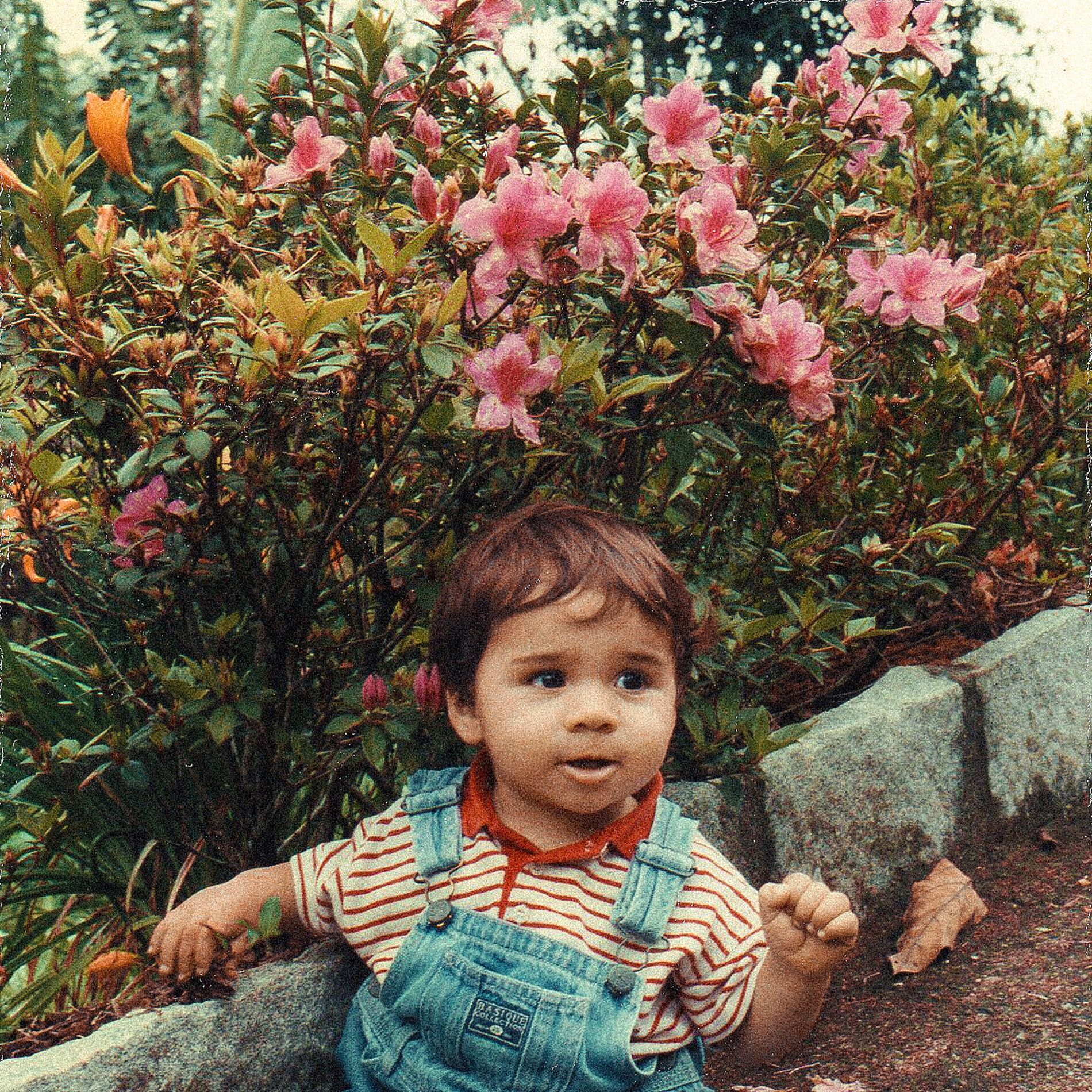 Album cover of Amores Nostalgia